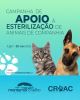 Campanha de apoio &agrave; esteriliza&ccedil;&atilde;o de animais de companhia 