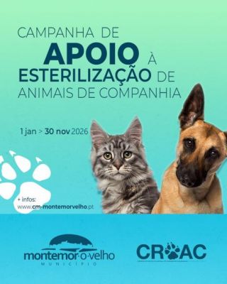 Campanha de apoio &agrave; esteriliza&ccedil;&atilde;o de animais de companhia 