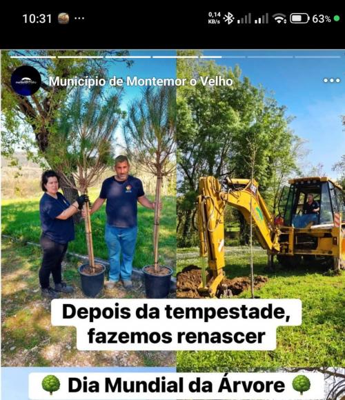 Depois da tempestade, fazemos renascer... 